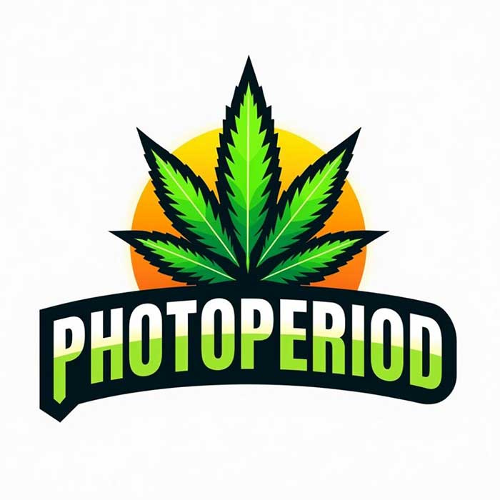 Buy Legal High THC Cannabis Seeds Online, Exotic High THC Cannabis Seeds