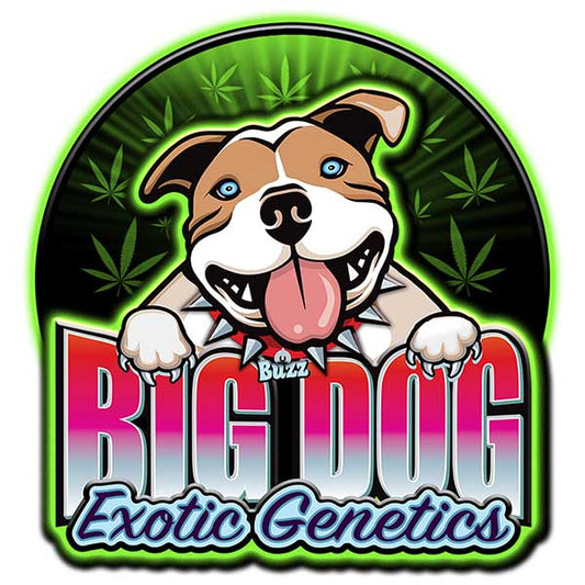 Big Dog Banner #1