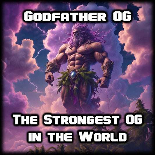 Godfather OG High THC Feminized Weed Seeds