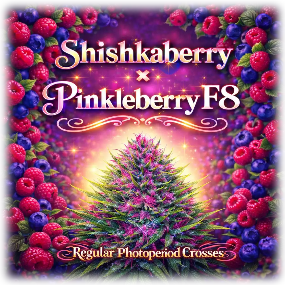 PinkleBerry Strains