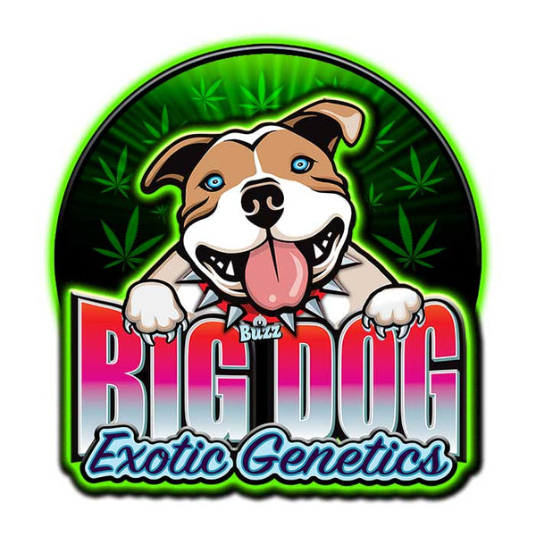 Buy Legal High THC Cannabis Seeds Online, Exotic High THC Cannabis Seeds