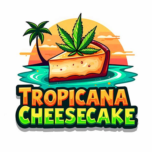 Tropicana Cheesecake