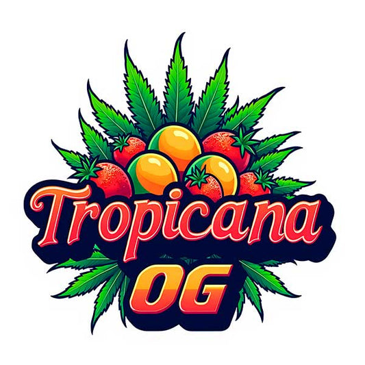 🔥NEW🔥 Tropicana OG