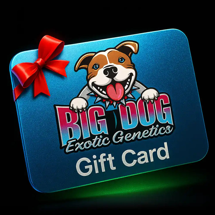Big Dog Exotic Genetics Gift Card
