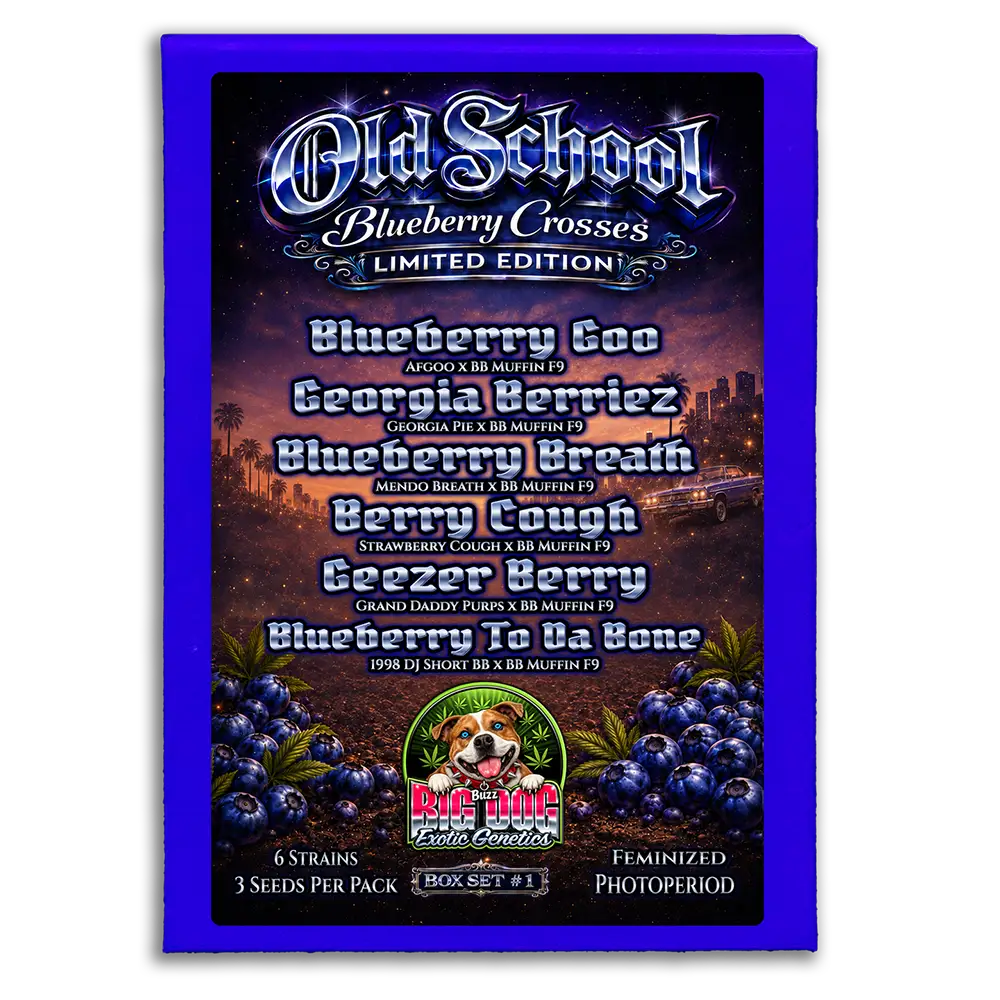 Old School Blueberry Box Set #1
