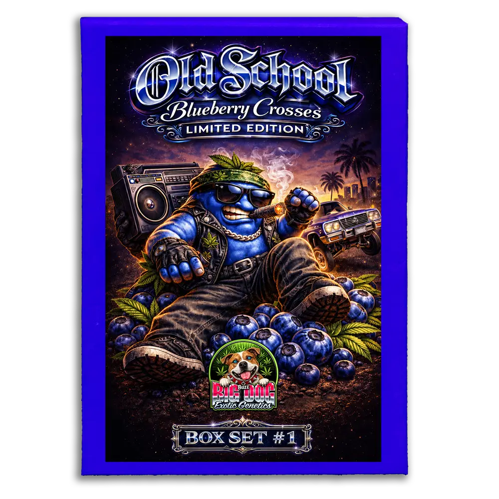 Old School Blueberry Box Set #1