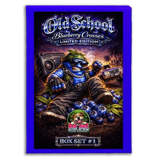 Old School Blueberry Box Set #1
