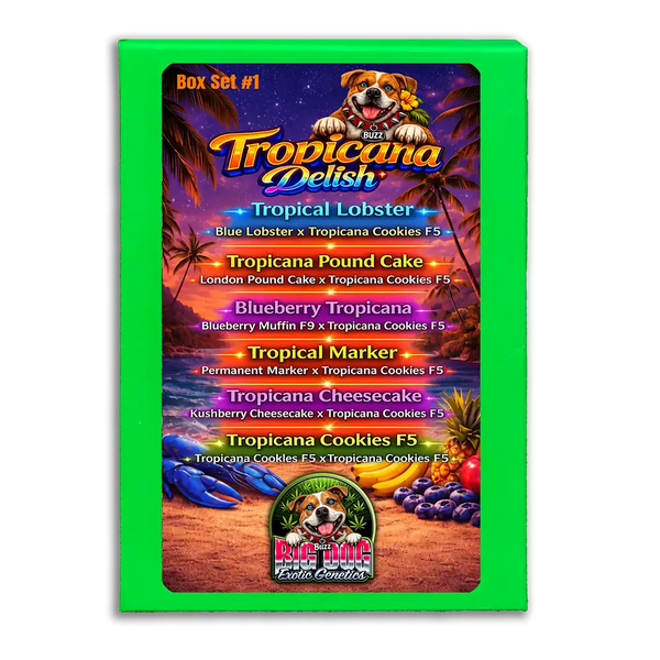 Tropicana Delish Box Set