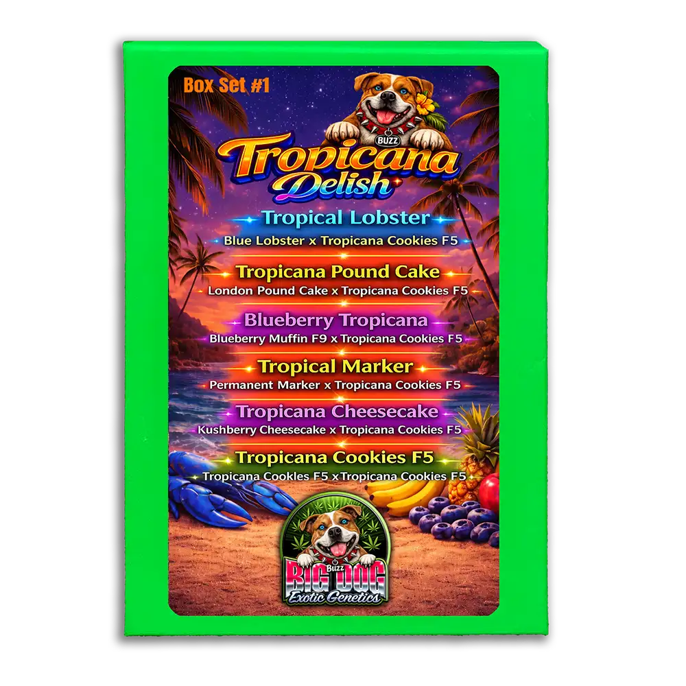 Tropicana Delish Box Set