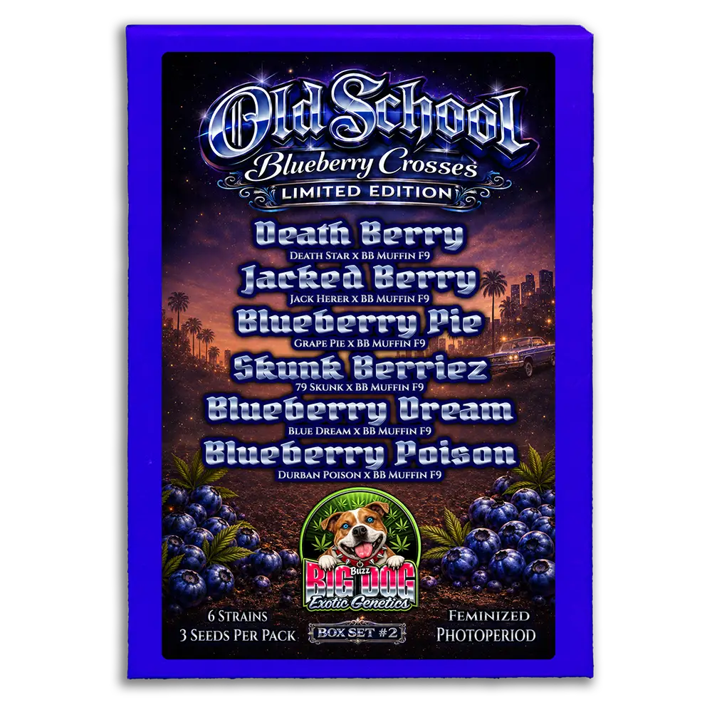 Old School Blueberry Box Set #2