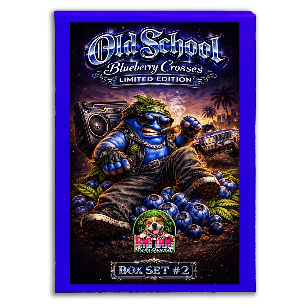 Old School Blueberry Box Set #2