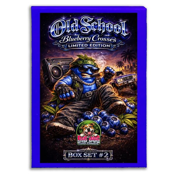 Old School Blueberry Box Set #2