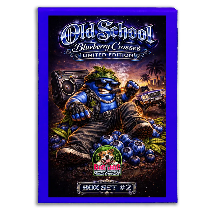 Old School Blueberry Box Set #2