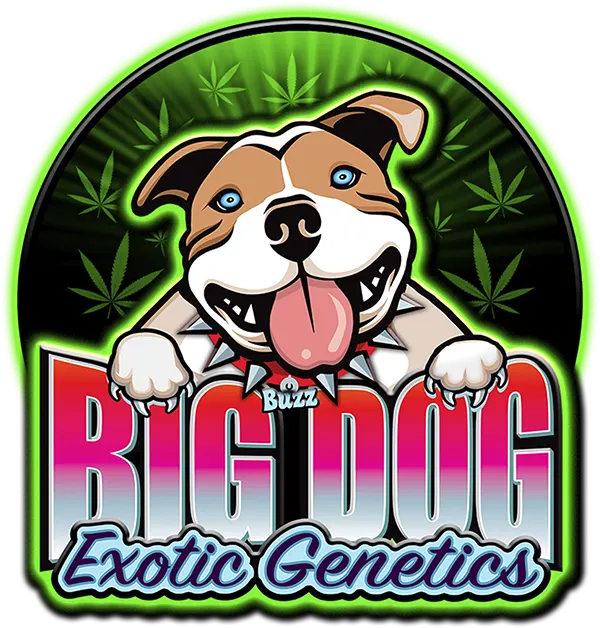Big Dog Novelties