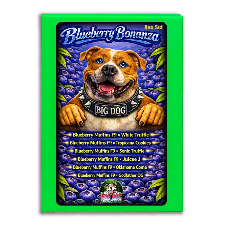 Blueberry Bonanza Box Set
