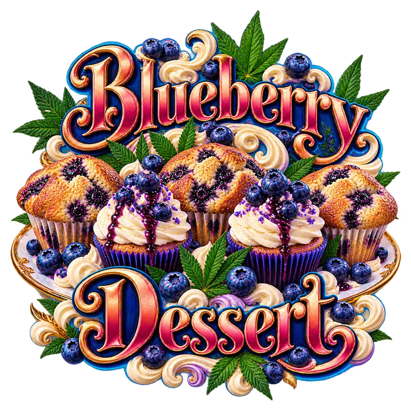 Blueberry Dessert