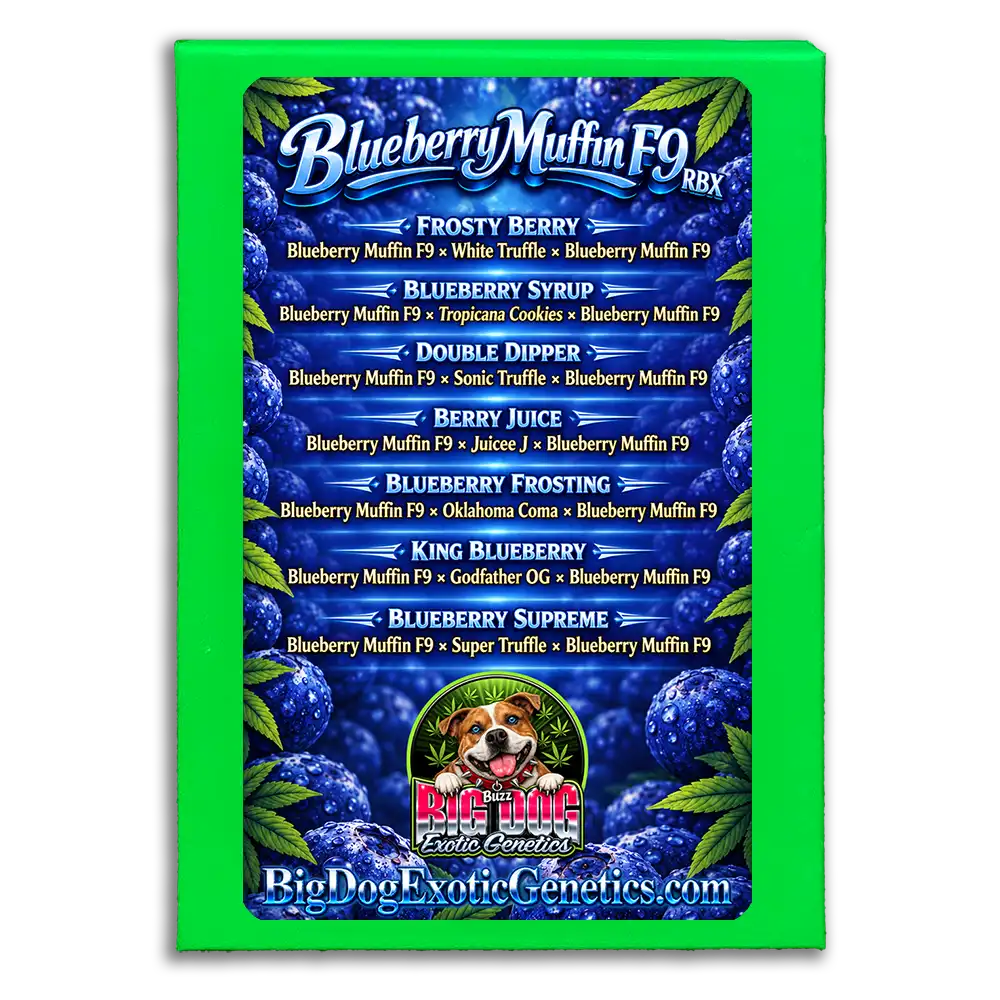Blueberry Muffin F9 RBX Box Set