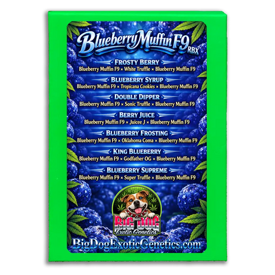 Blueberry Muffin F9 RBX Box Set