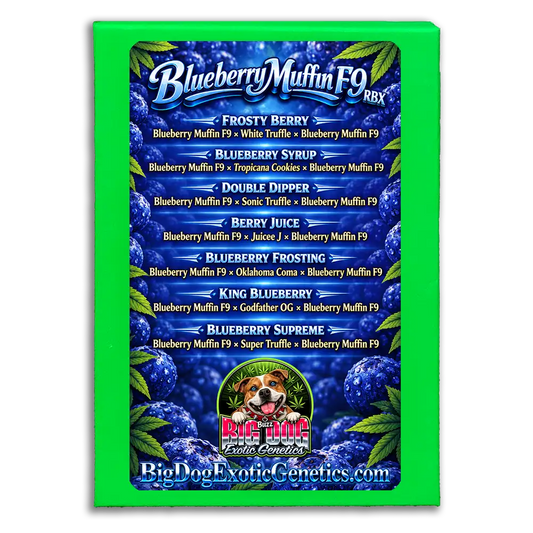 Blueberry Muffin F9 RBX Box Set
