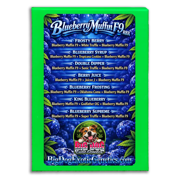 Blueberry Muffin F9 RBX Box Set