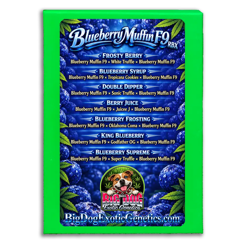 Blueberry Muffin F9 RBX Box Set