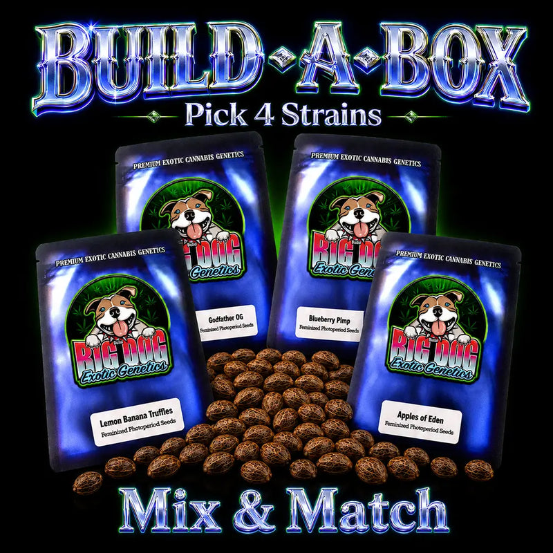 Build A Box