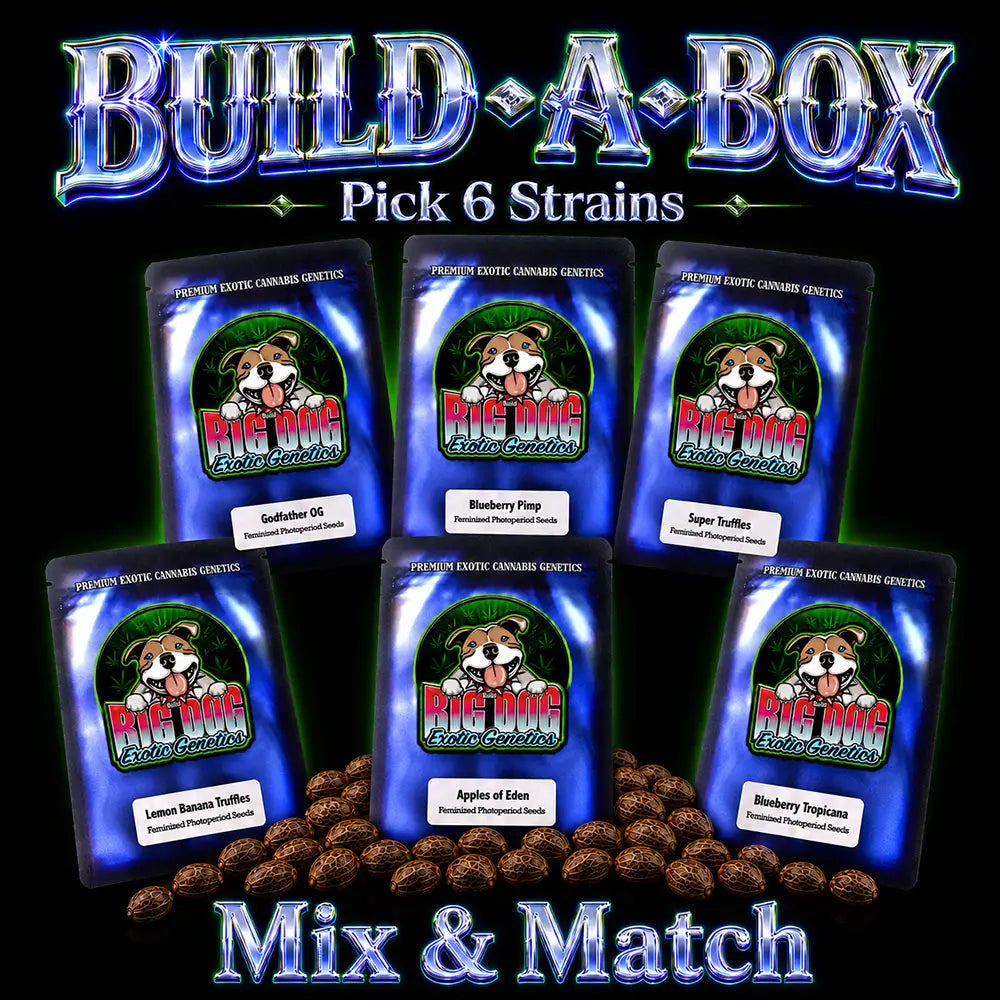 Build A Box