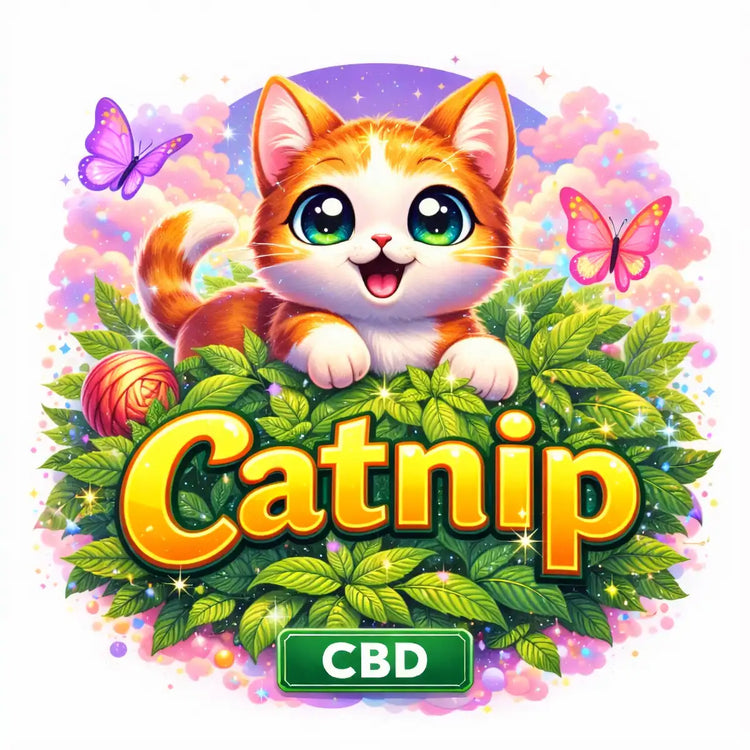 Catnip CBD