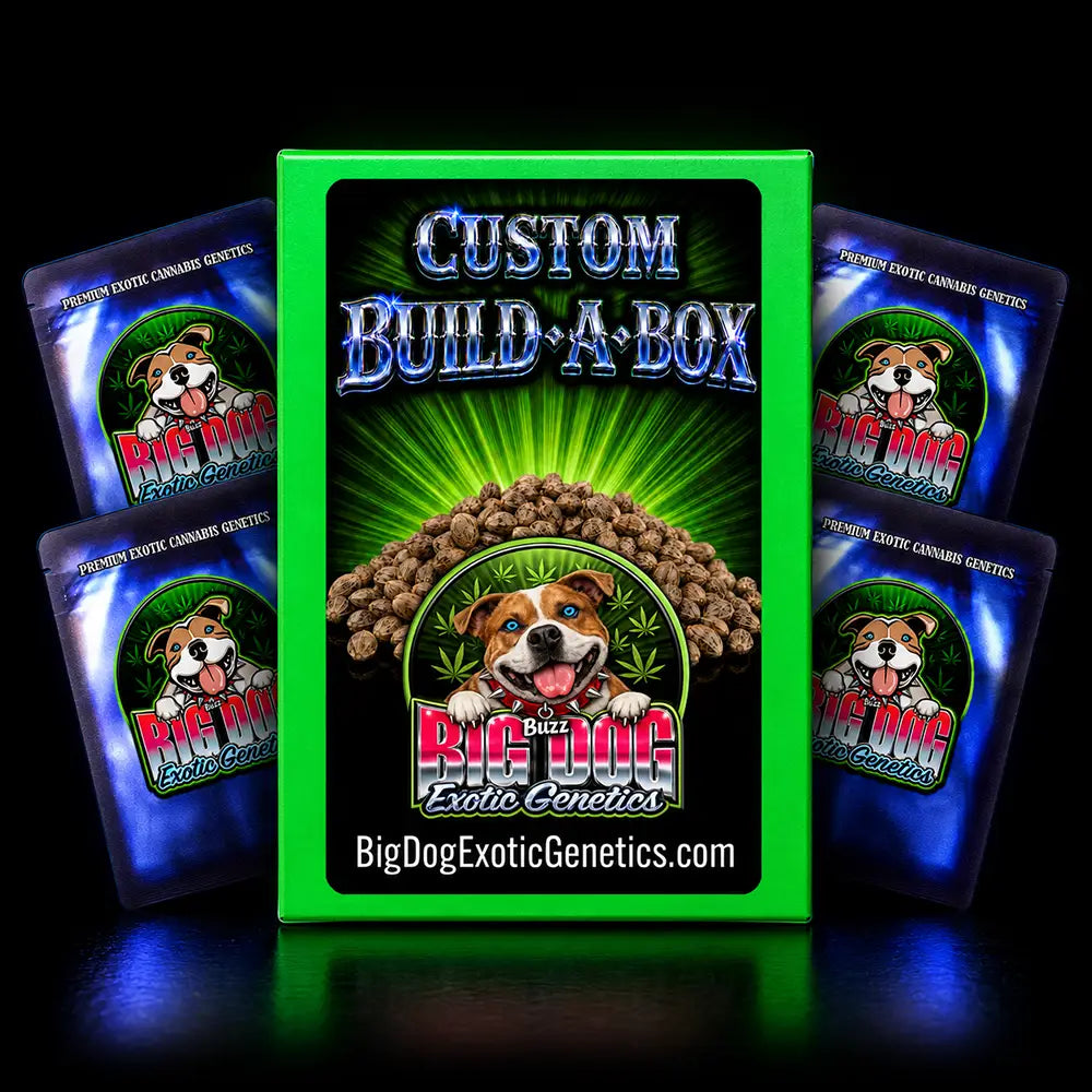 Build A Box