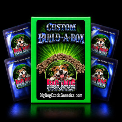 Build A Box