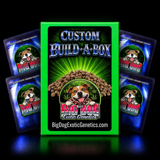 Build A Box