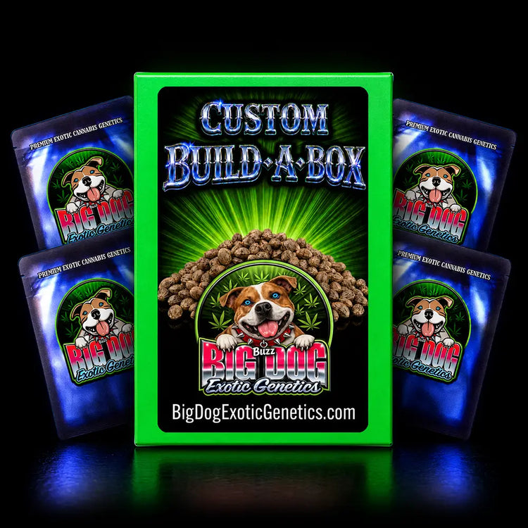 Build A Box