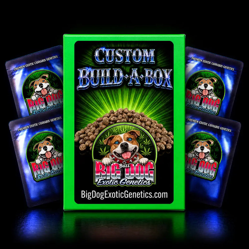 Build A Box