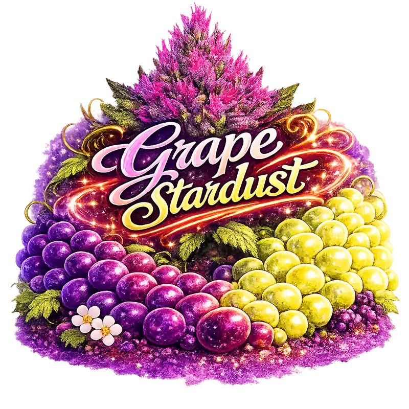Grape Stardust