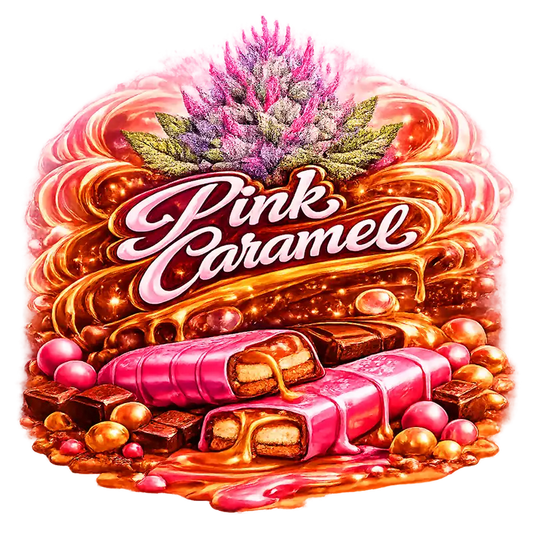 Pink Caramel