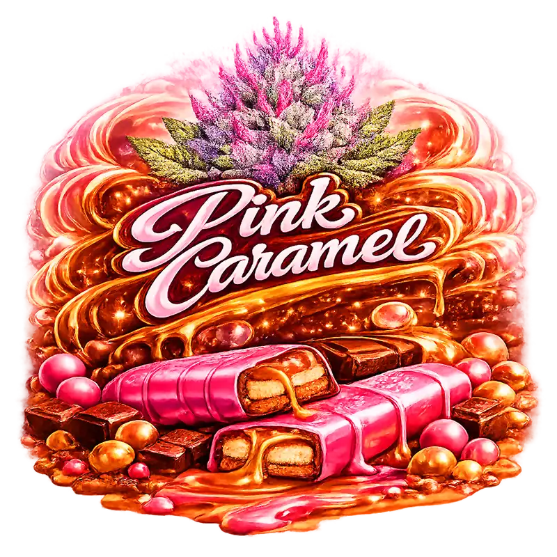 Pink Caramel
