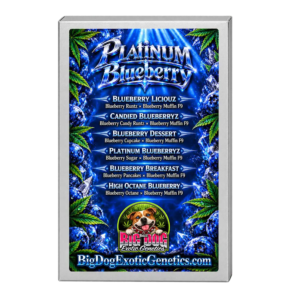 Platinum Blueberry Box Set