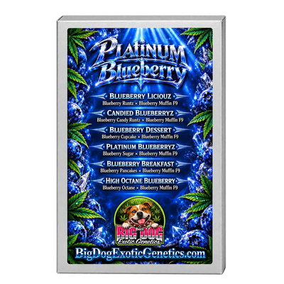 Platinum Blueberry Box Set