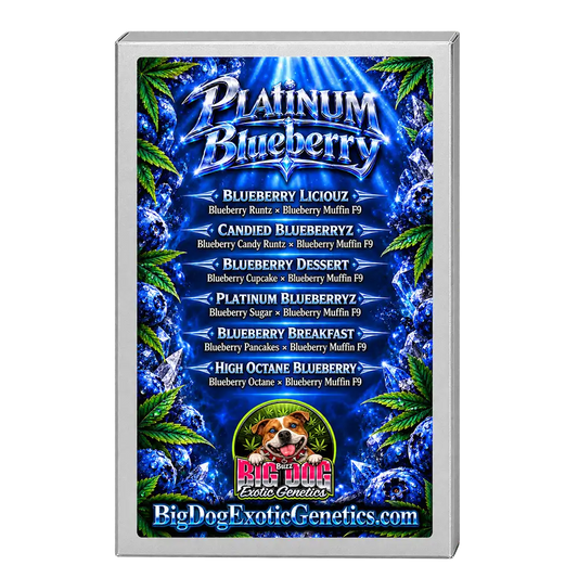 Platinum Blueberry Box Set
