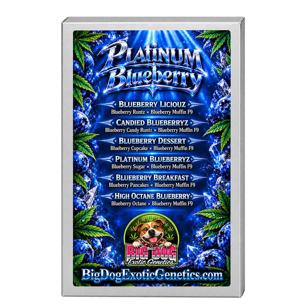 Platinum Blueberry Box Set