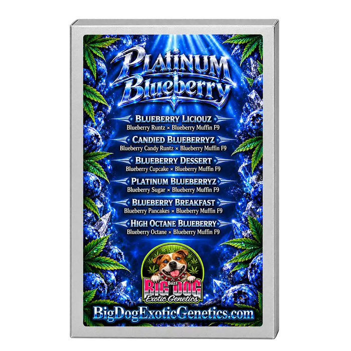 Platinum Blueberry Box Set