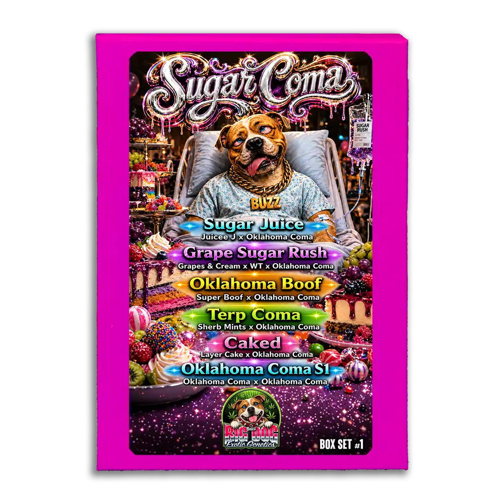 Sugar Coma Box Set #1