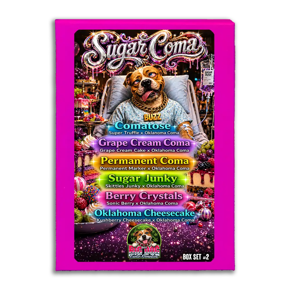 Sugar Coma Box Set #2