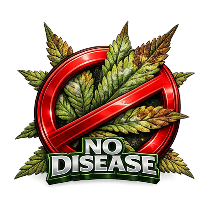 High THC Clones, High THC Cannabis Clones, Exotic Weed Clones, Exotic Pot Clones, High THC Pot Clones