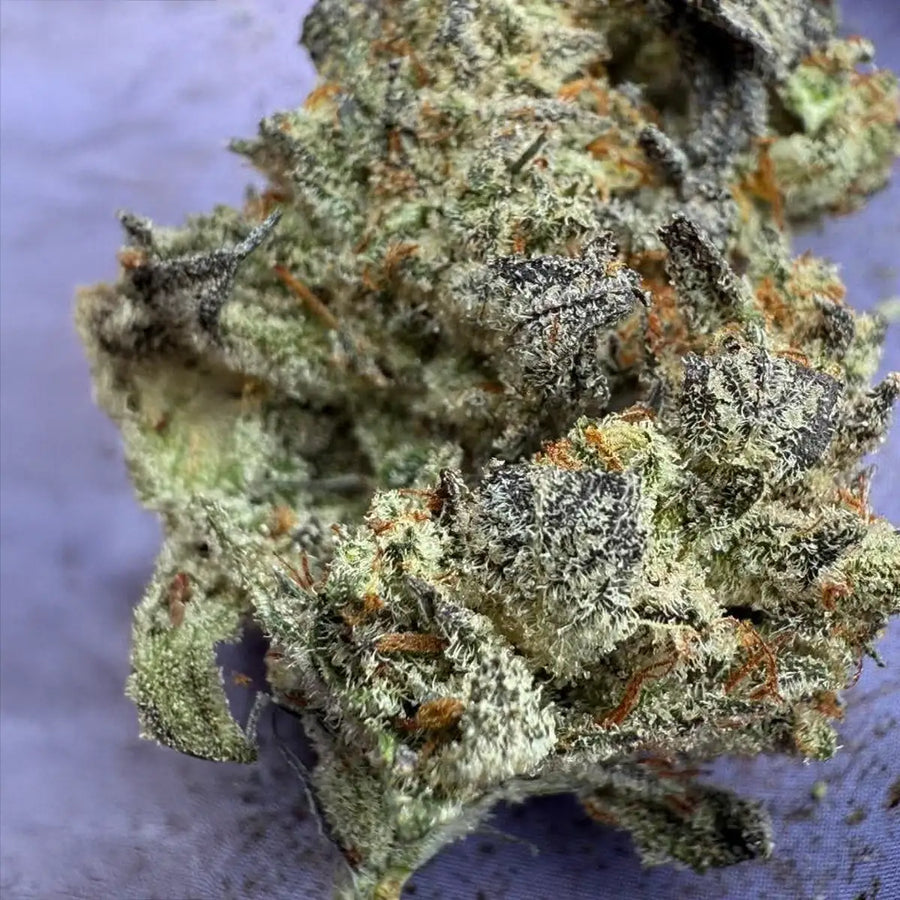 😍😍 Ozee Truffells 😍😍